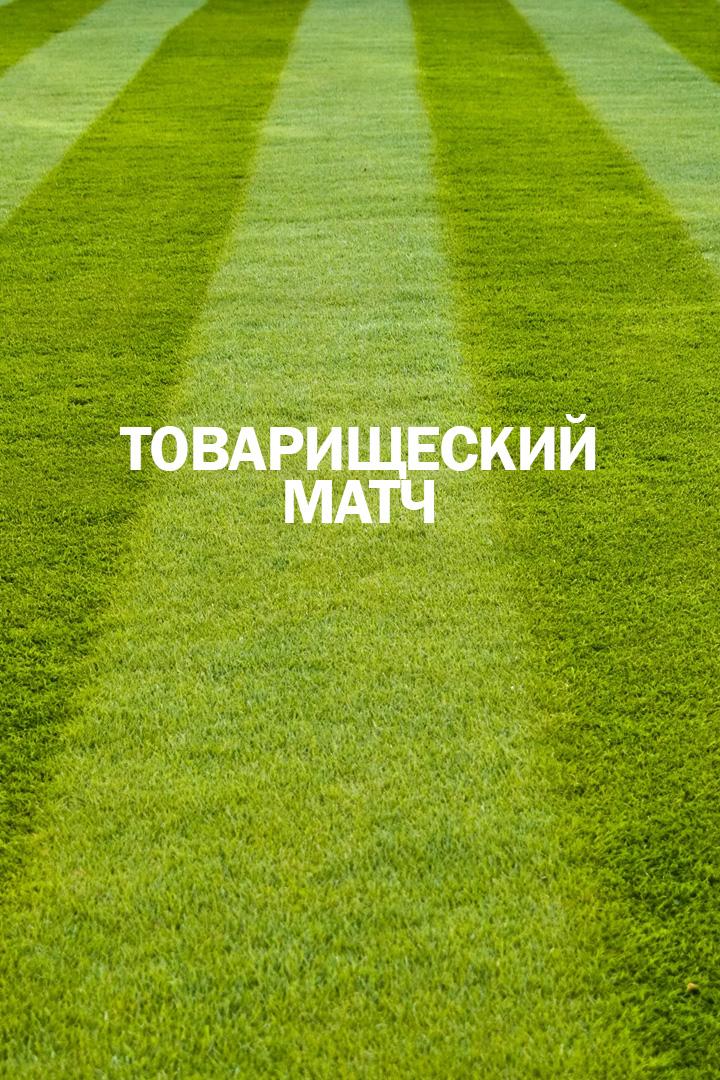 Регби. Товарищеский матч. Сборная России - "Барбарианс" (Сборная легионеров). Трансляция из Москвы