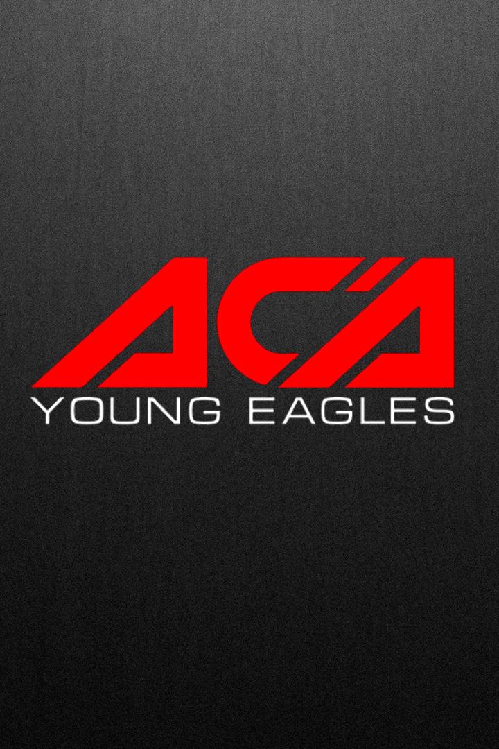 Смешанные единоборства. АСА Young Eagles. Трансляция из Грозного