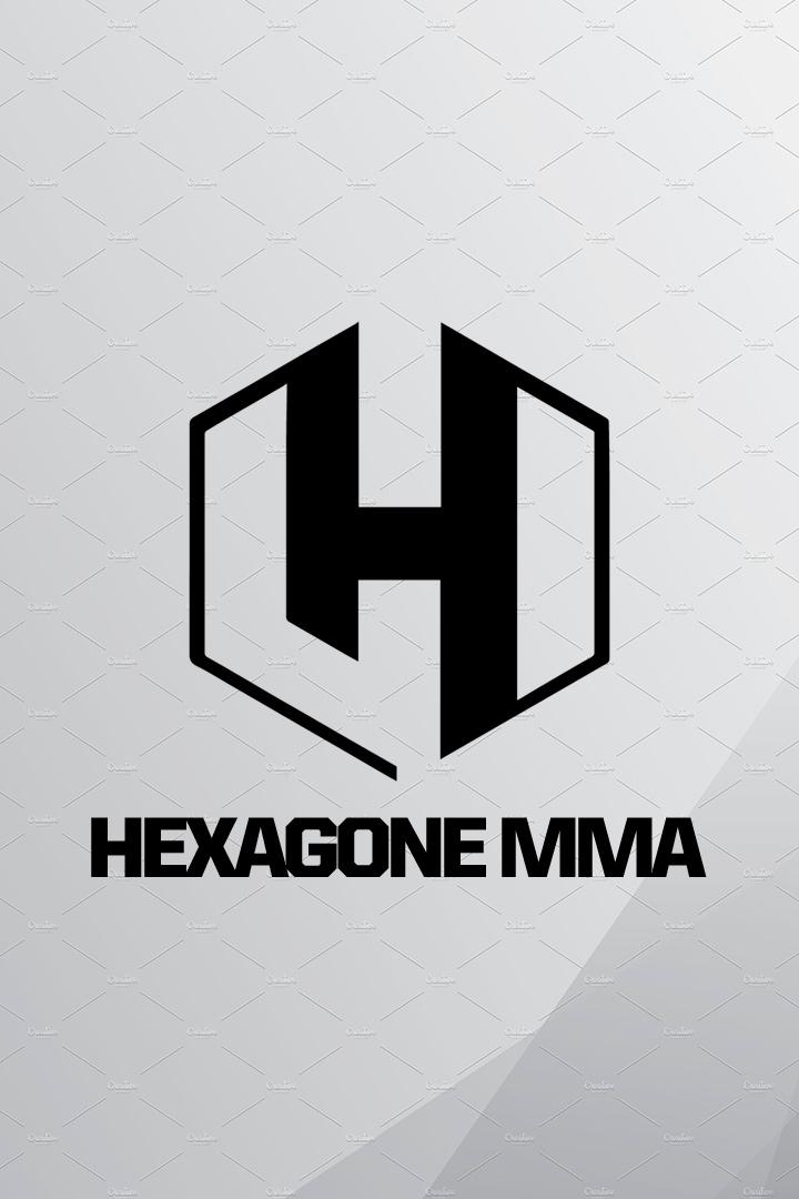 Смешанные единоборства. HEXAGONE MMA 10. Саманта Жан-Франсуа против Лоры Бэлин. Уолтер Гахадза против Софиана Удины. Трансляция из Франции