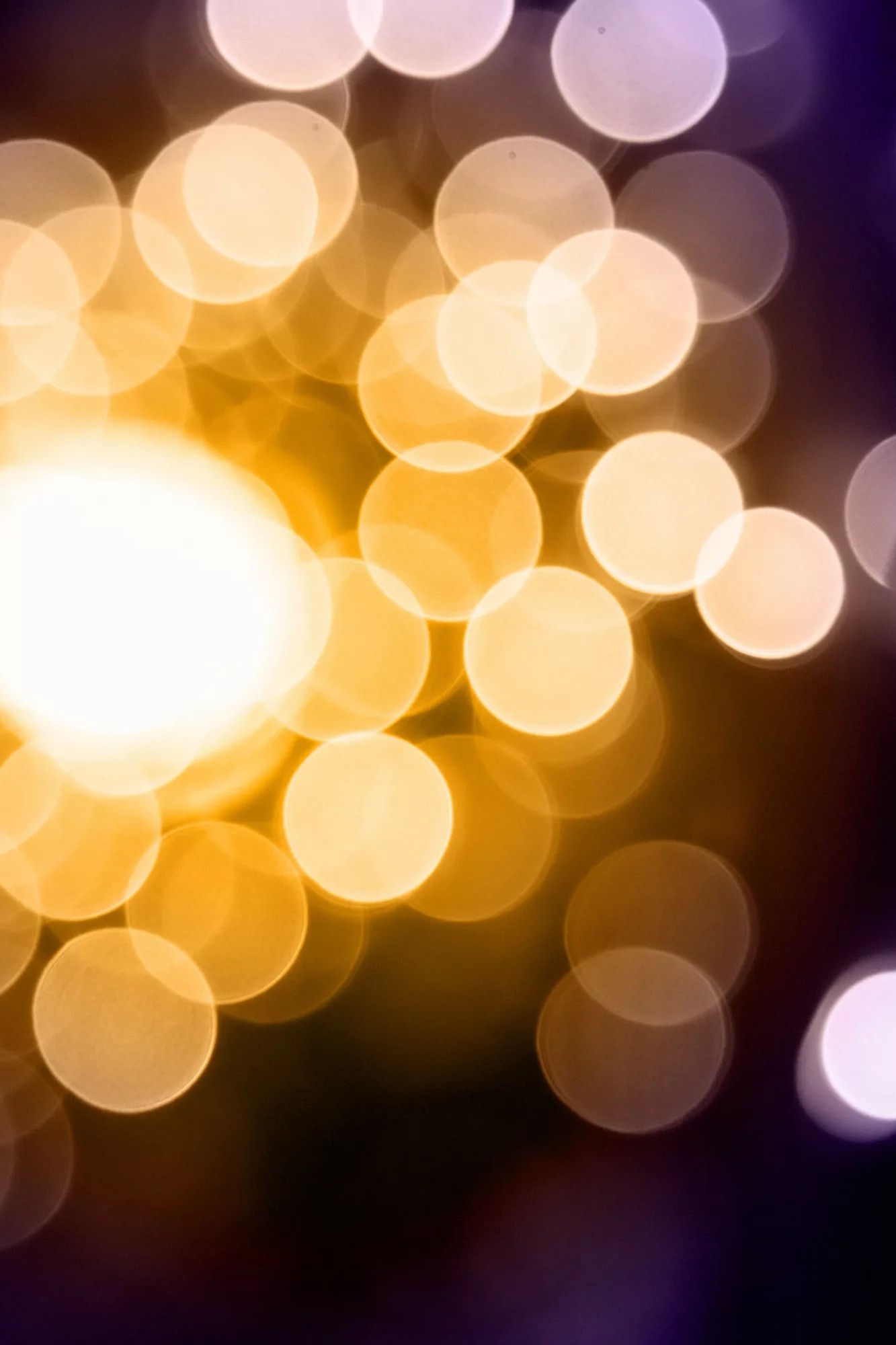 Добрый вечер, животные