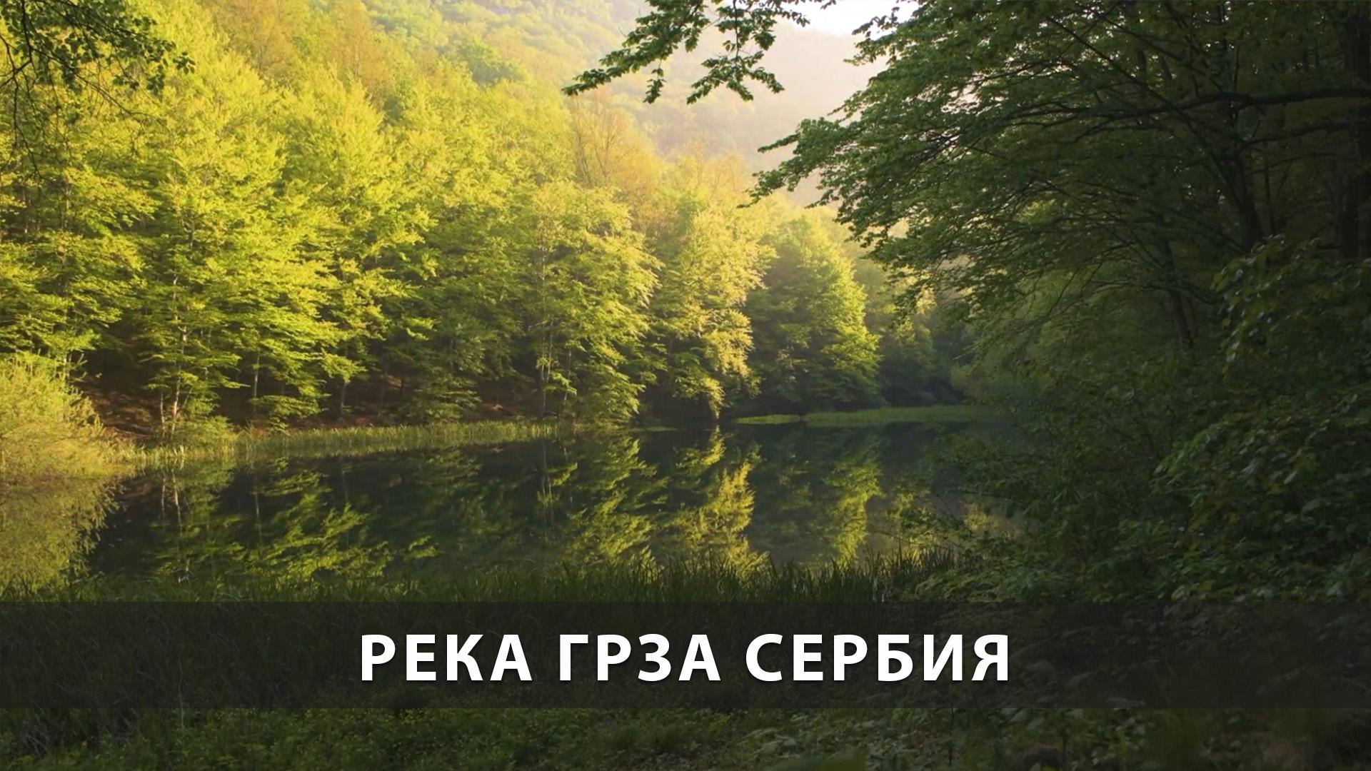 Река Грза Сербия