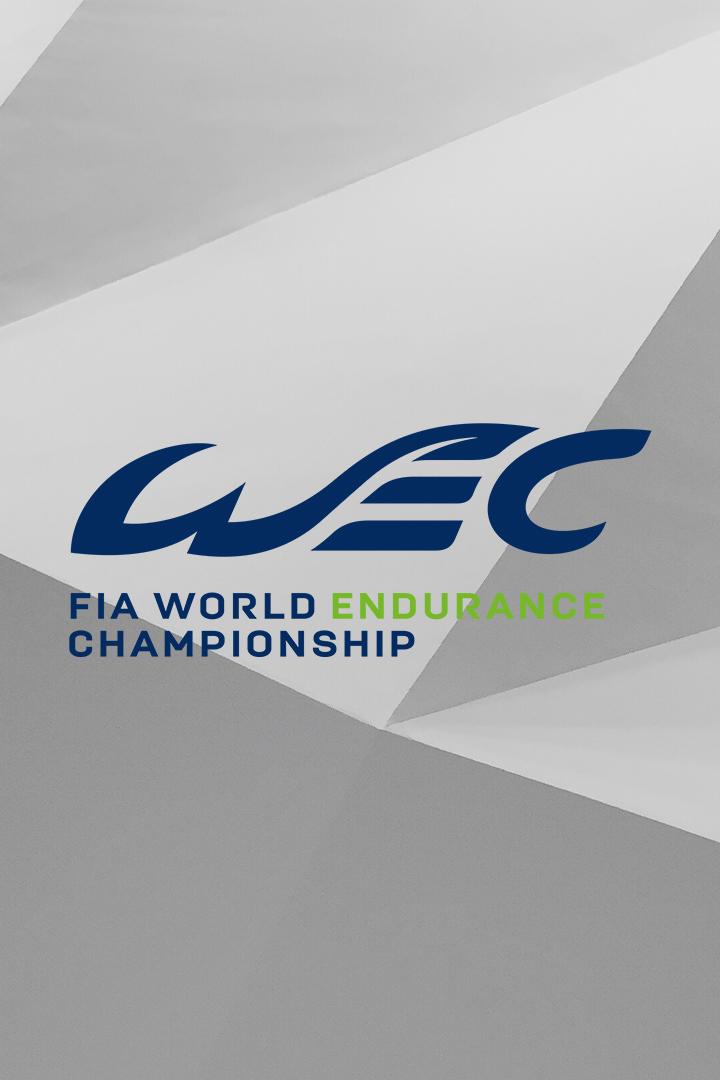 Мировая серия автомобильных гонок на выносливость "24 часа", 2023, этап 5, Португалия