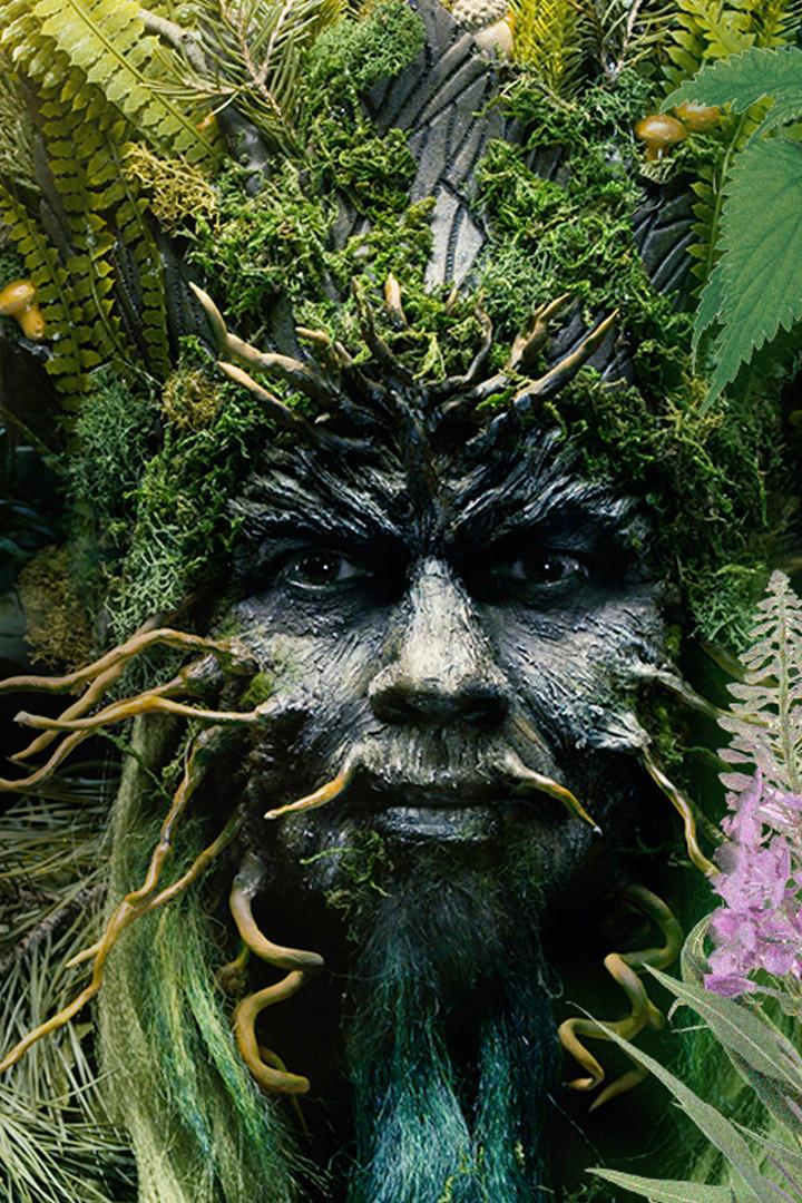 Какого лешего! Лес под водой: за грибами на лодке