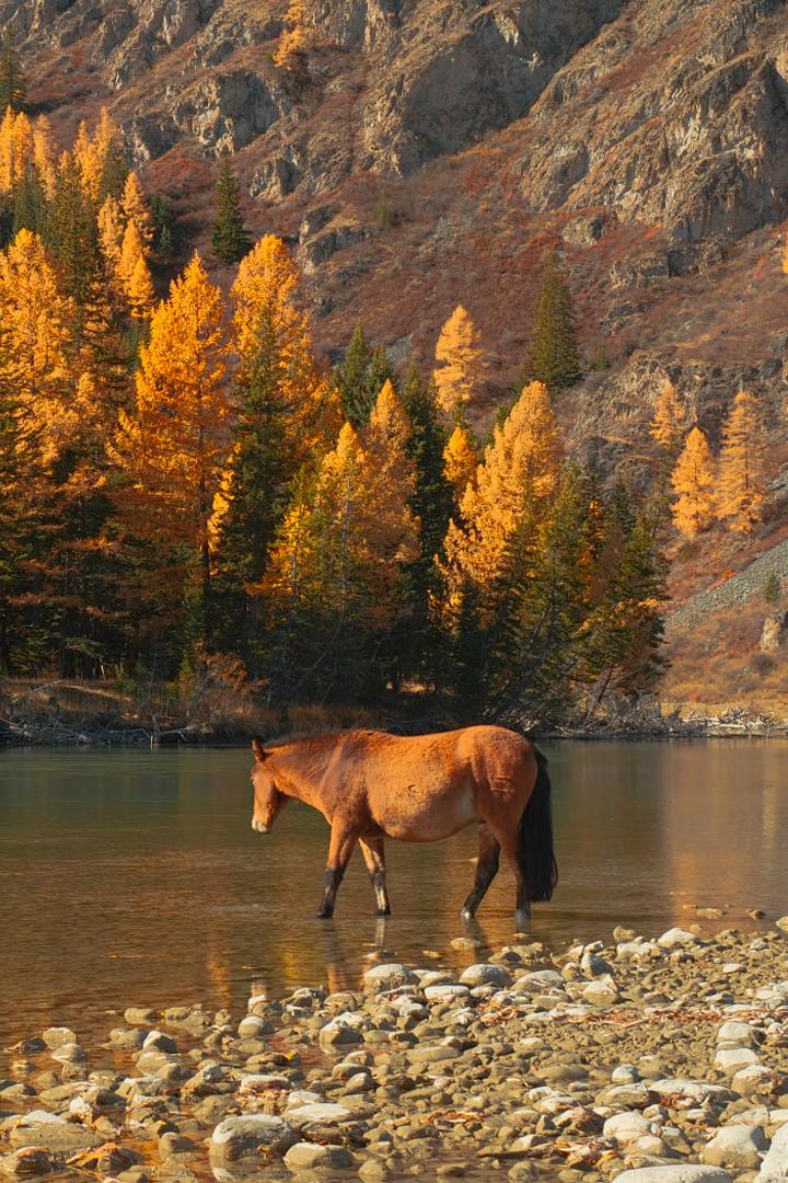 Акташская Гэс