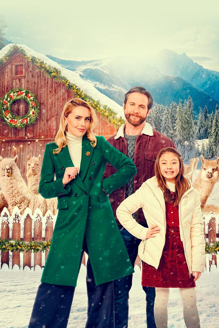 Тёплый приём на ферме альпак