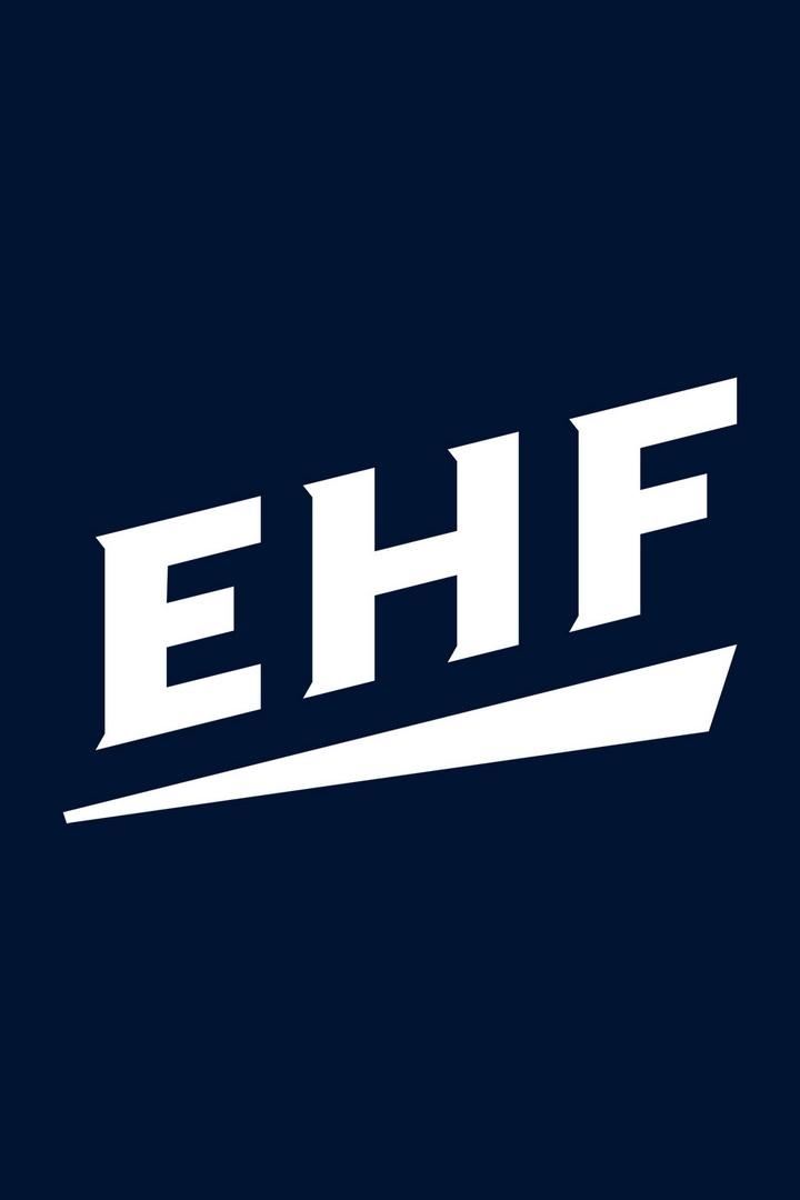 Гандбол. Чемпионат Европы. Мужчины. Германия - Хорватия. Трансляция из Германии