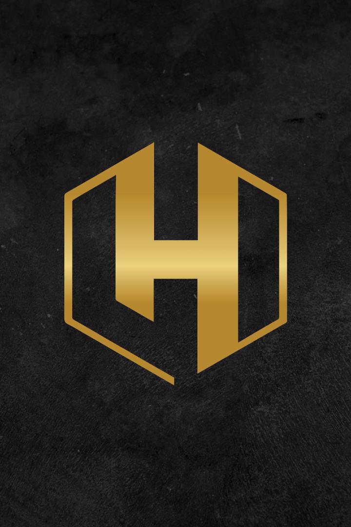 Смешанные единоборства. Hexagone MMA 14. Трансляция из Франции