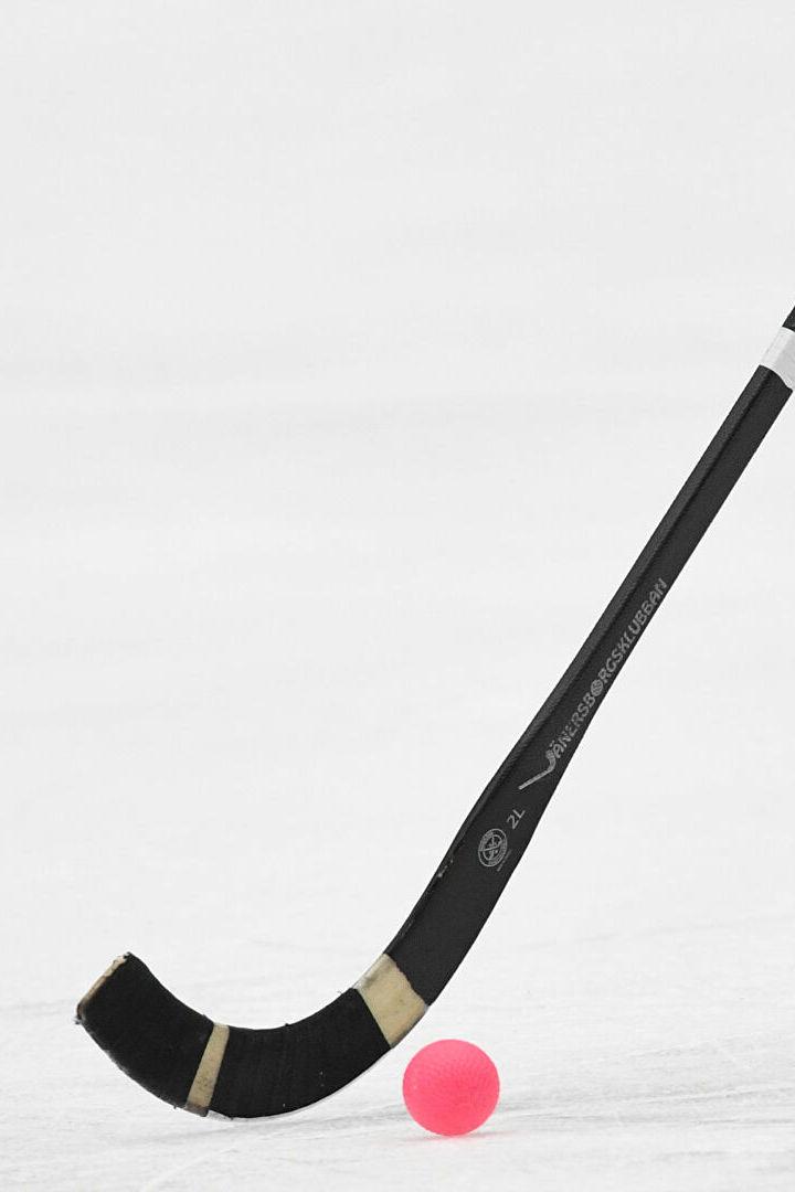 Хоккей с мячом. Кузбасс (Кемерово) - Родина (Киров)