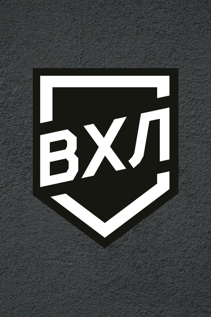 12+ Хоккей. ВХЛ. Плей-офф. Нефтяник (Альметьевск) - Рубин (Тюмень)