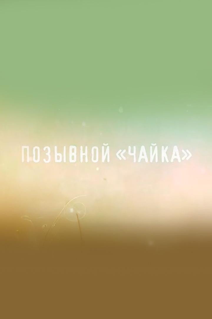 Позывной "Чайка"