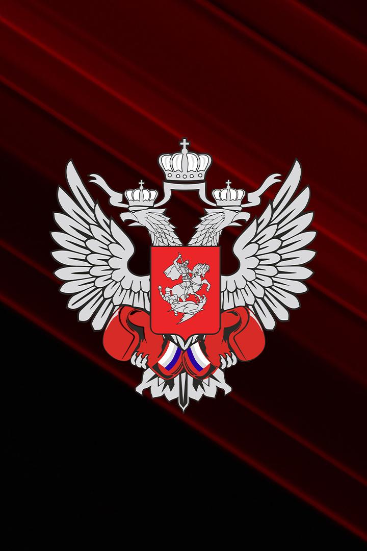 Первенство ДВФО по боксу среди юниоров 17-18 лет