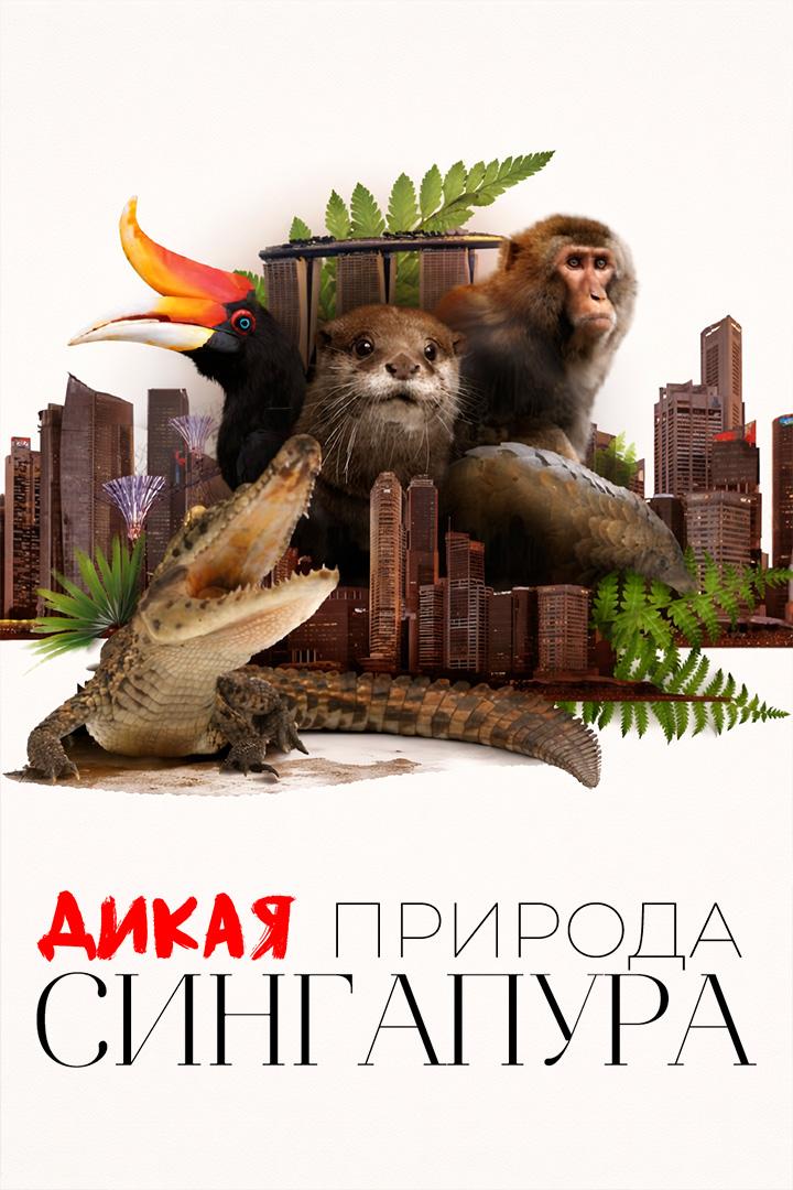 Дикая природа Сингапура