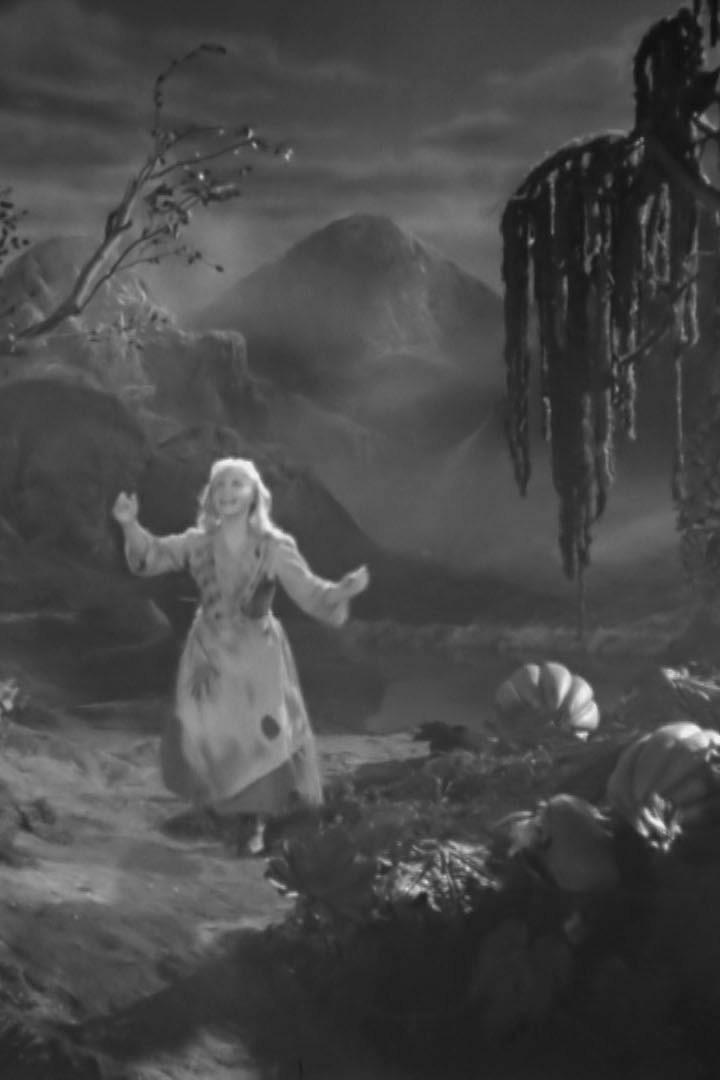 "Золушка". Добрые люди, где же вы?