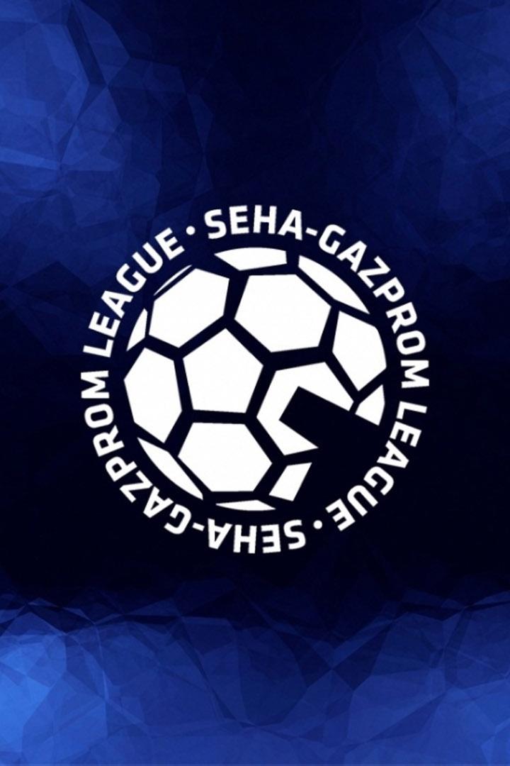 Гандбол. SEHA лига. Четвертьфинал. Виктор - ЦСКА