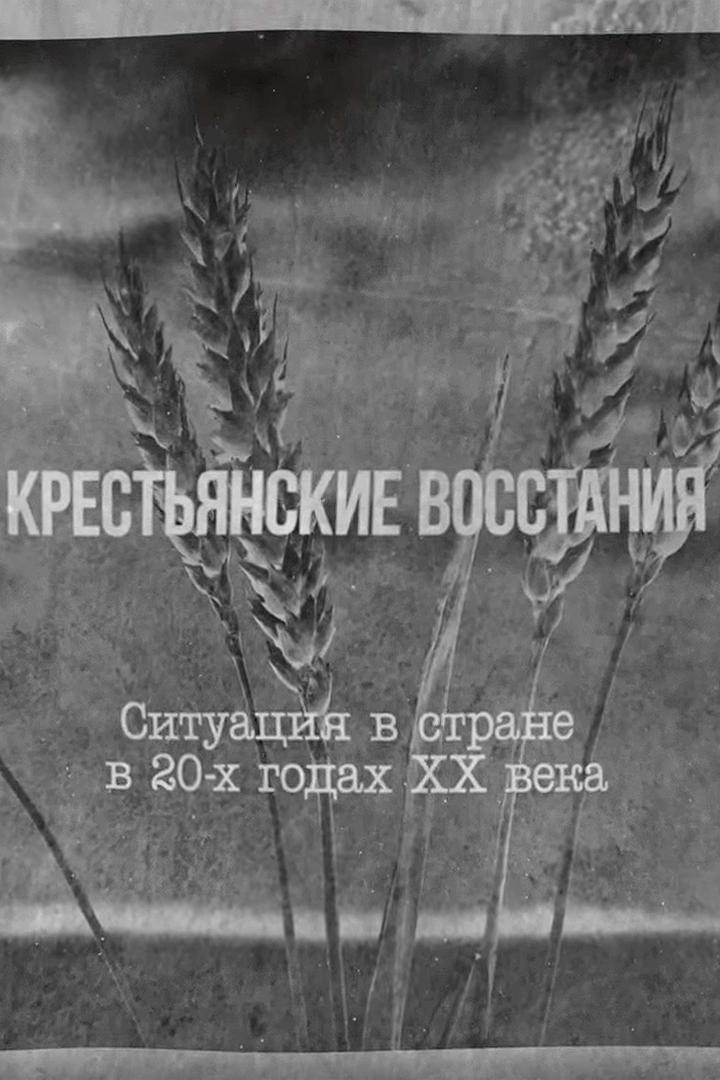 Крестьянские восстания. Ситуация в стране в 20-Х Годах ХХ Века 1