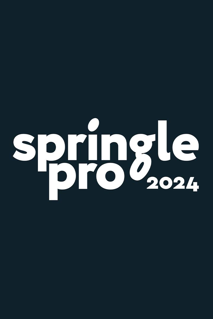 Алтимат. Springle Pro 2024. Игра за 3-е место. Мужчины