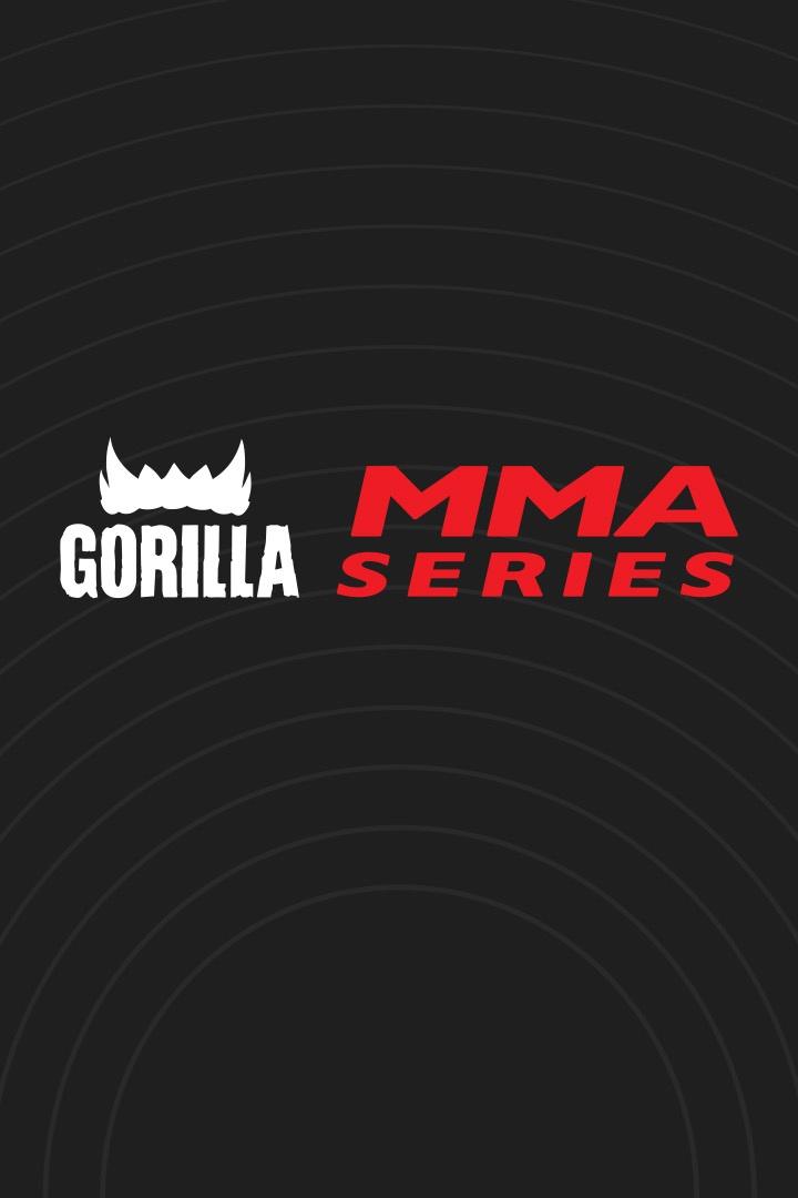 MMA Series Names. FG 2024. И.Хамзин против В.Сукаленко