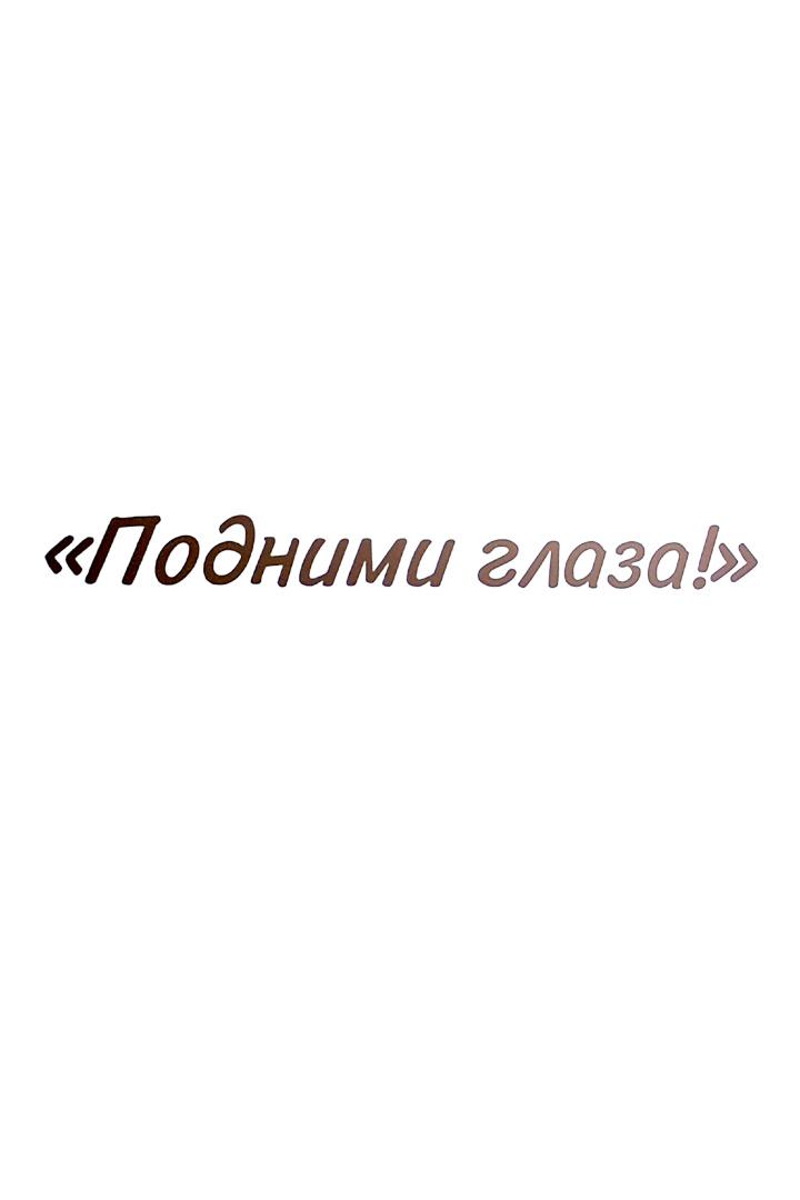 Подними глаза! Новый Петербург в рассказах архитекторов