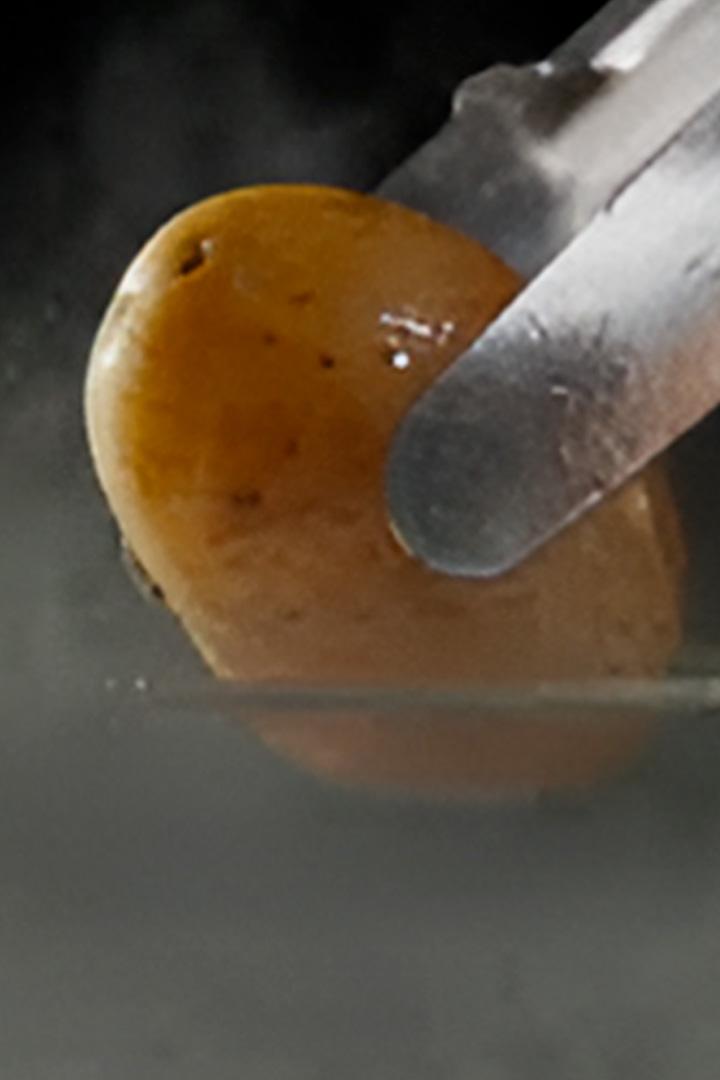 Картофель в беде