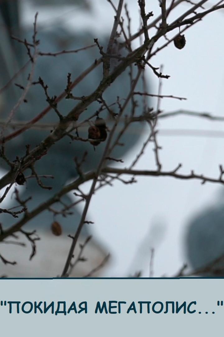 Покидая мегаполис