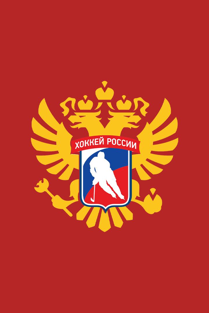 Хоккейный вечер.  Локомотив Ярославль - Динамо Москва