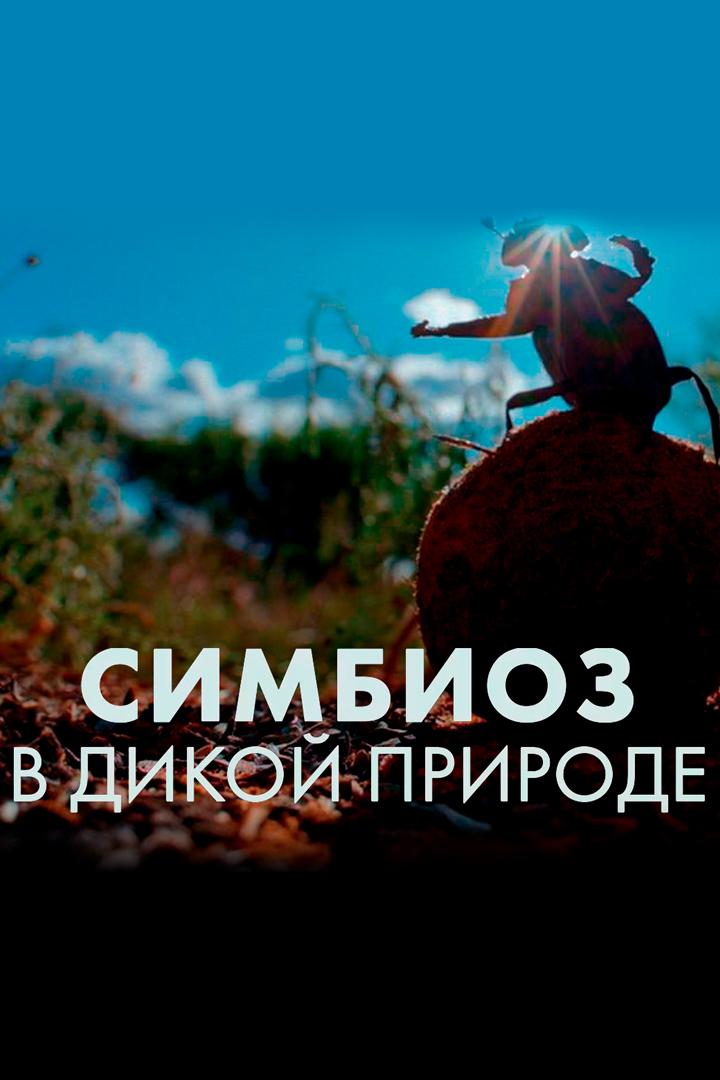 Симбиоз в дикой природе