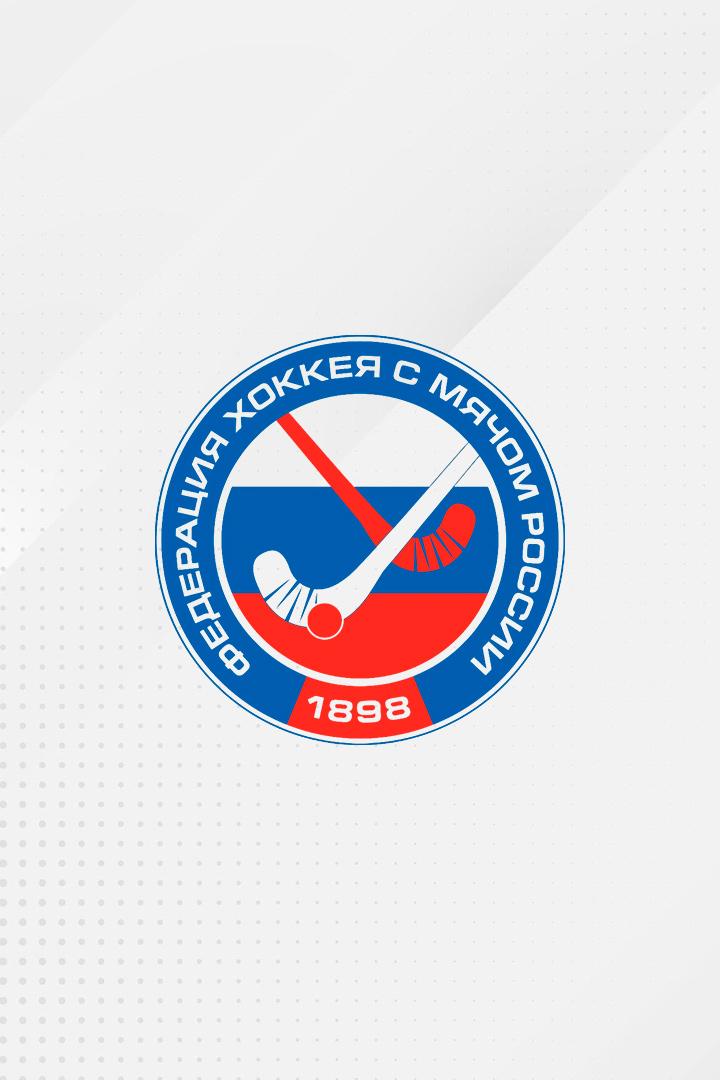 Хоккей с мячом. Суперлига. Финал