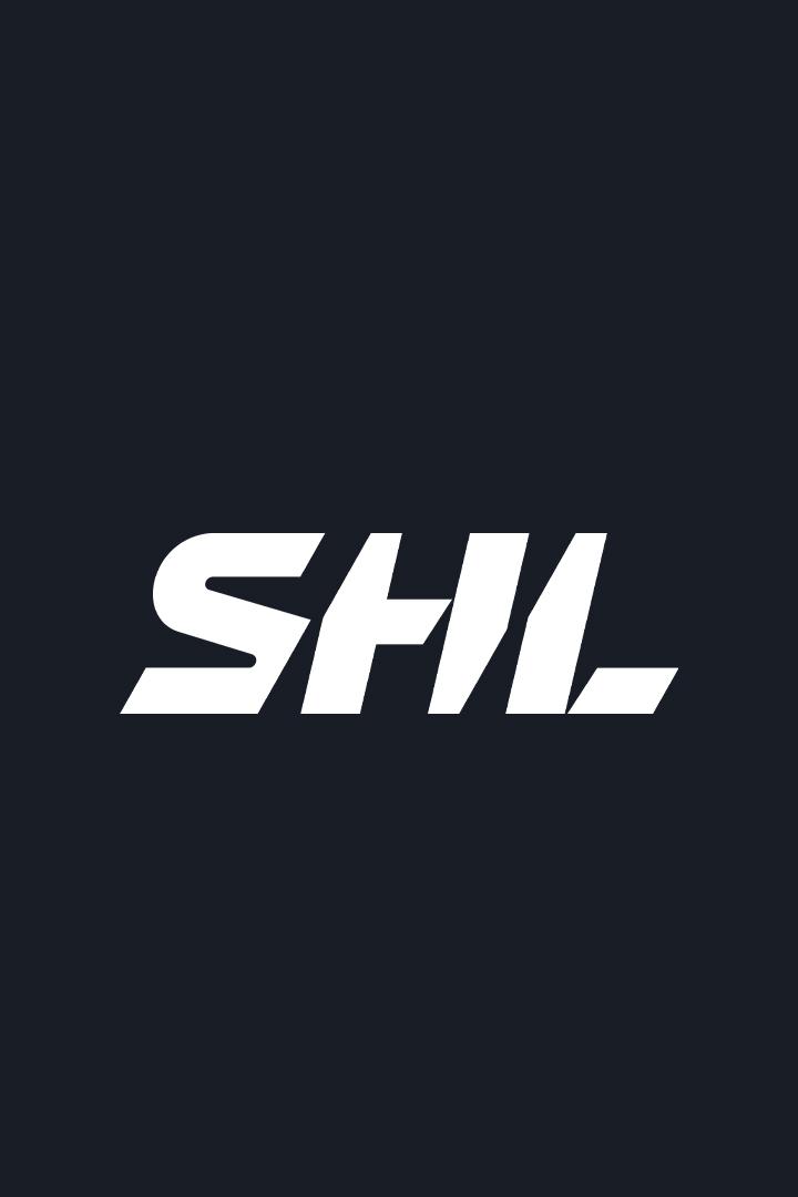Хоккей Шведская Хоккейная Лига SHL. Плей-офф 2024/25. 1/4 финала. Лулео - Векшё Лейкерс. Матч 2