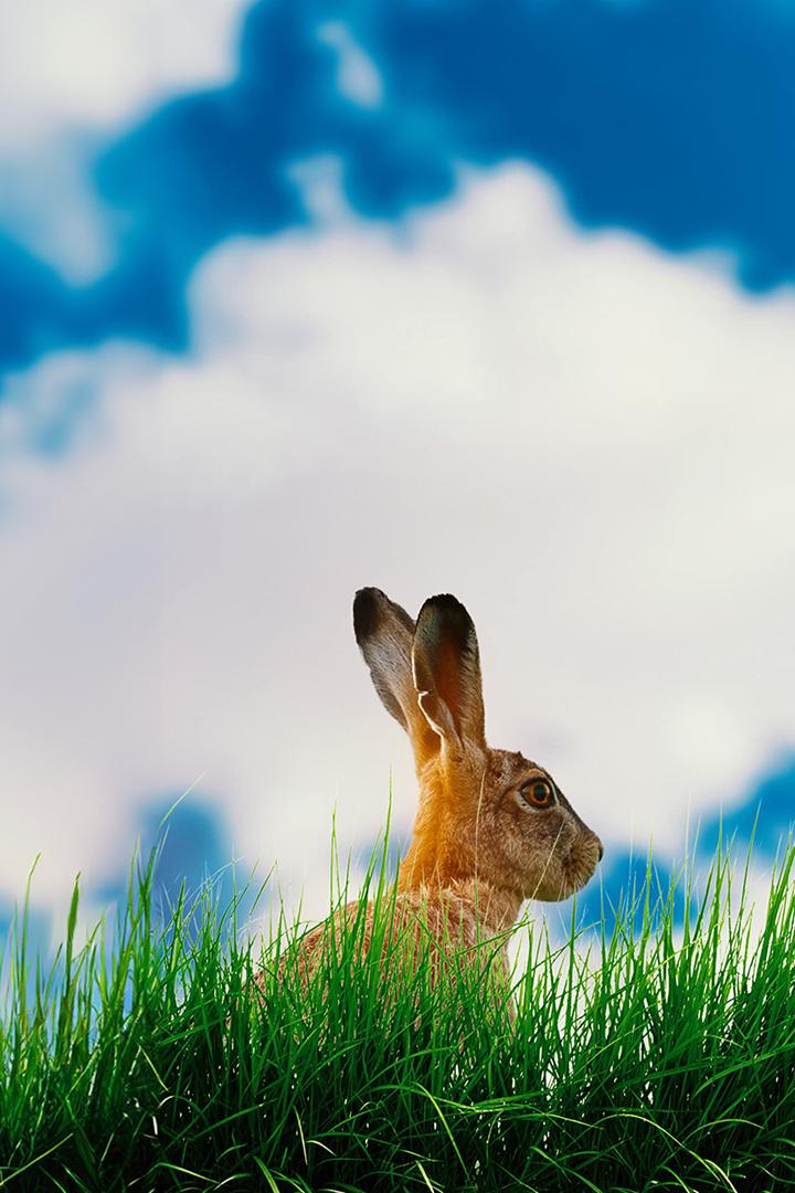 Пасха: начало чего-то большего