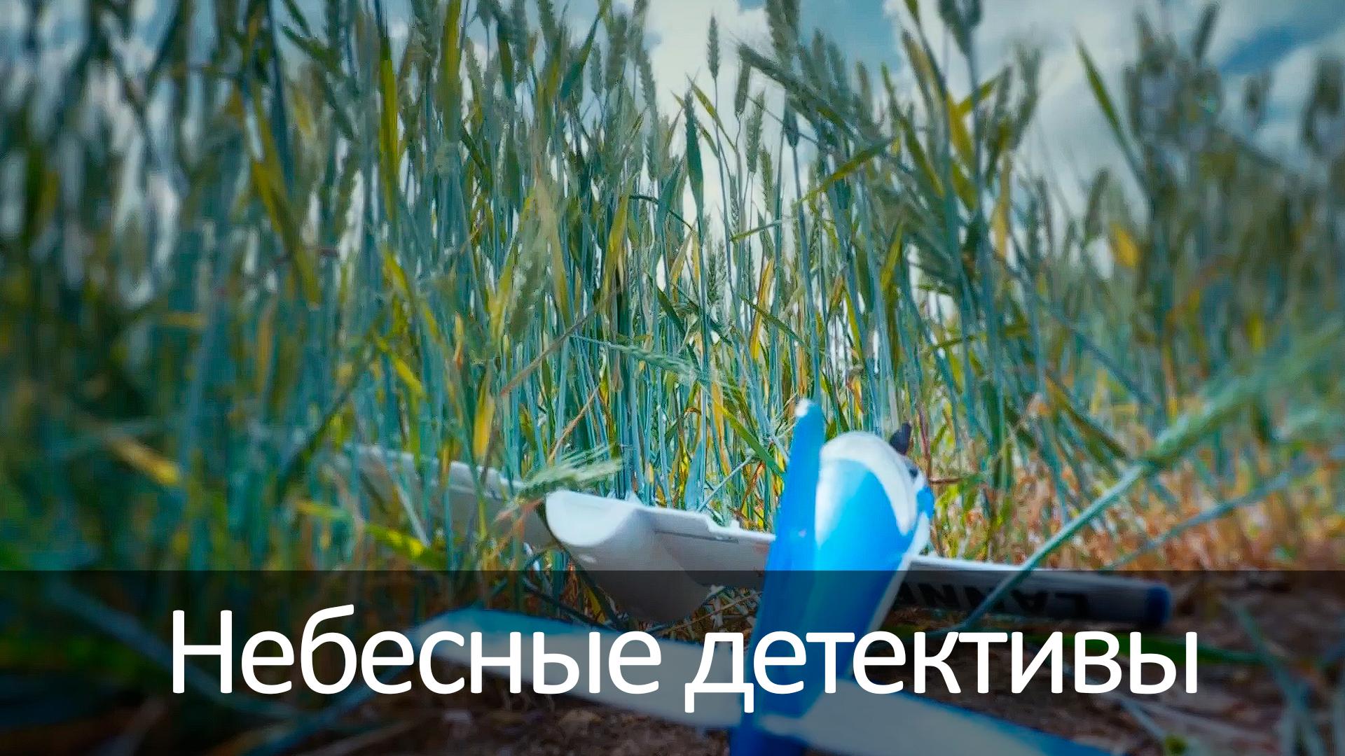 Небесные детективы