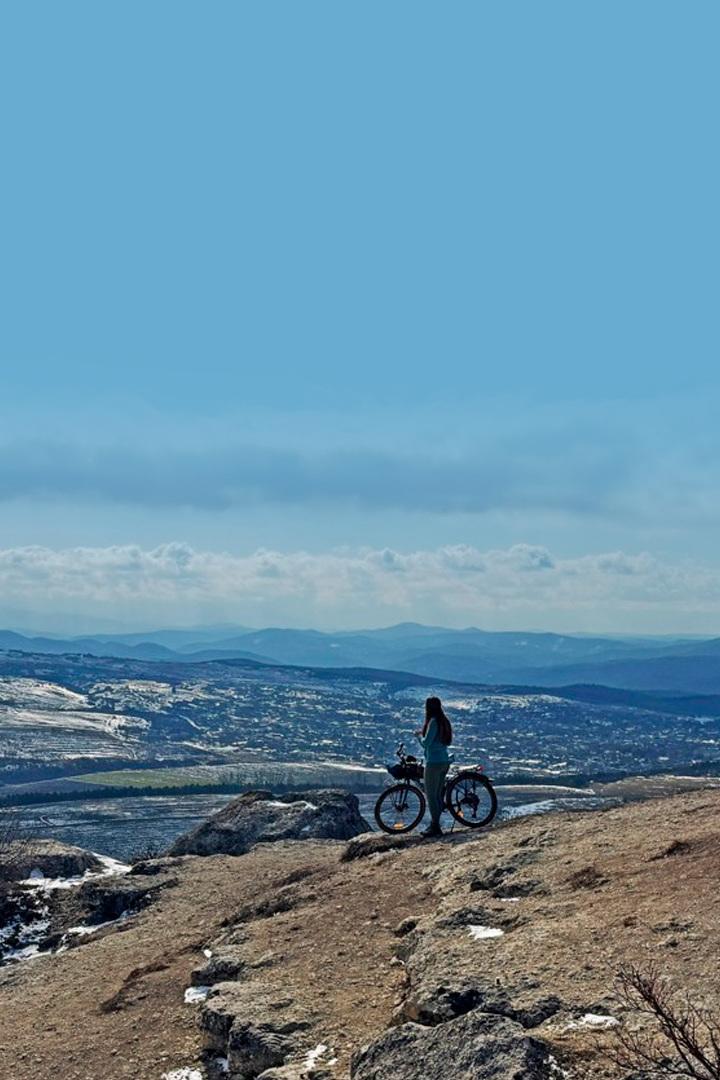 Дорожный бродяга