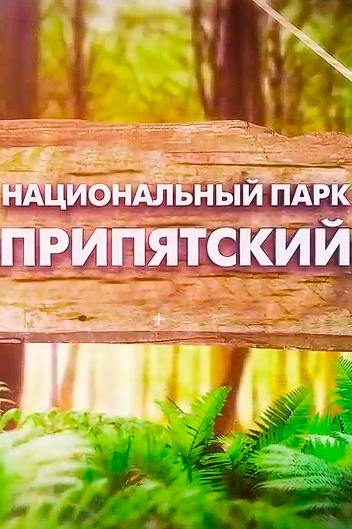 Припятский национальный парк