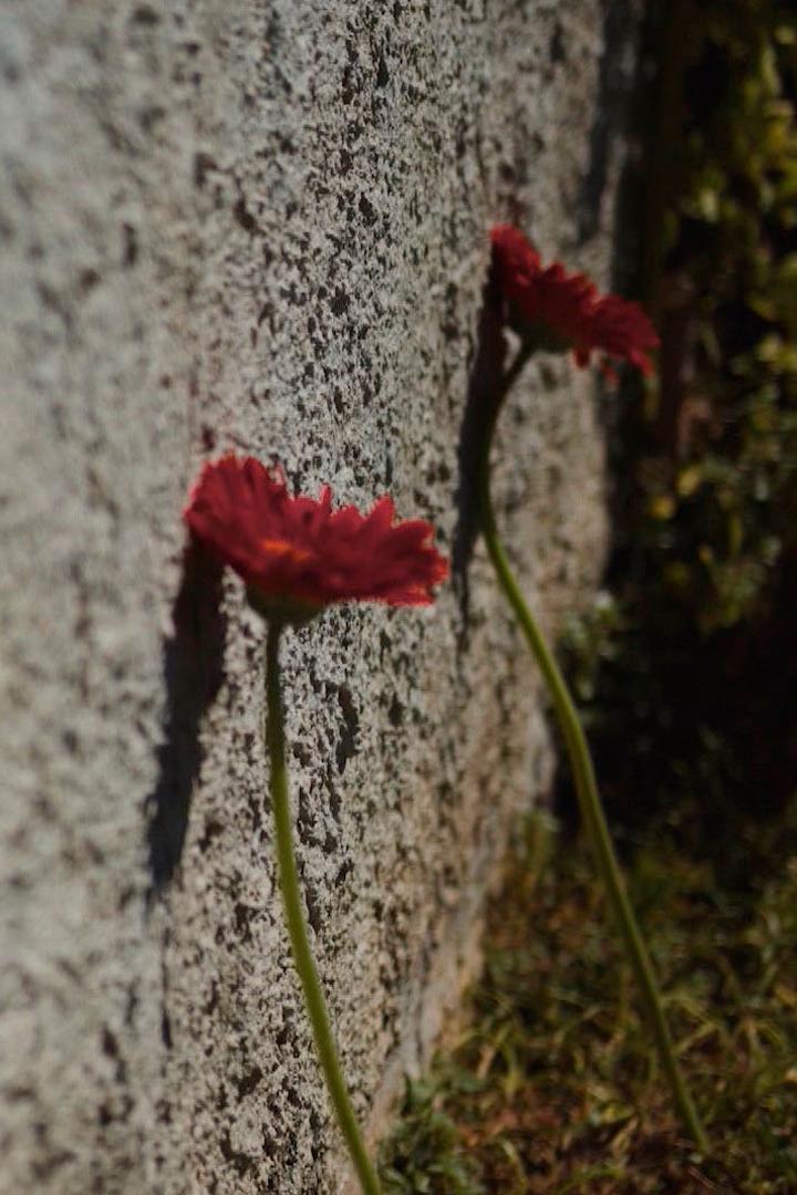 Их называли русскими. Самый далёкий фронт