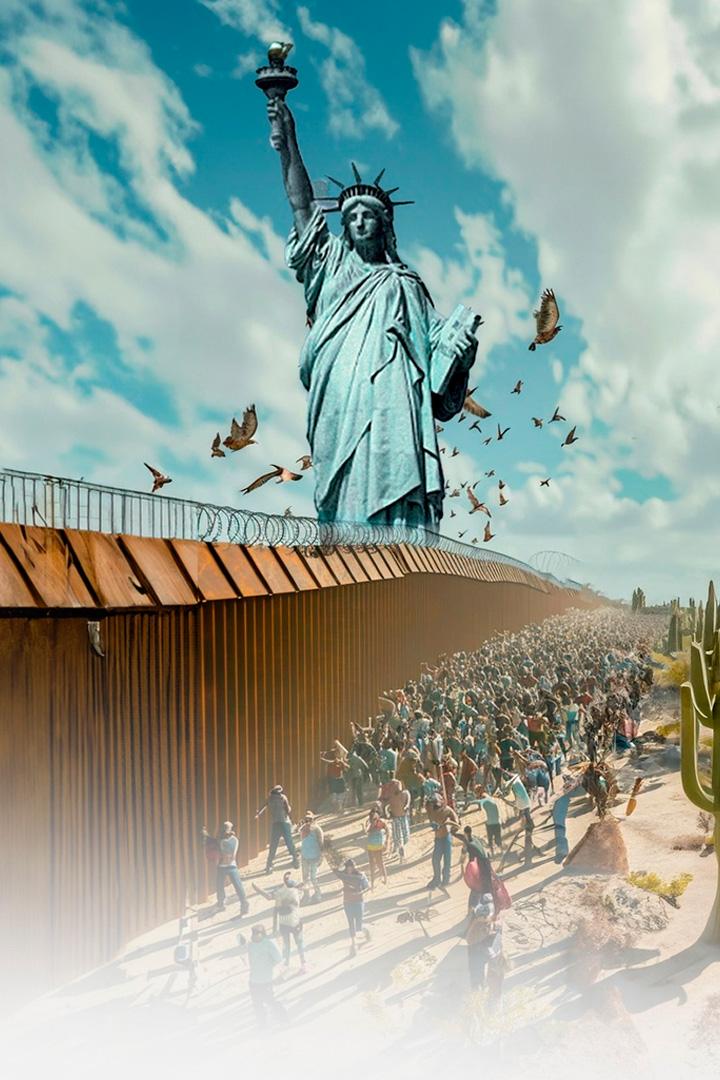 Перелётные птицы Америки