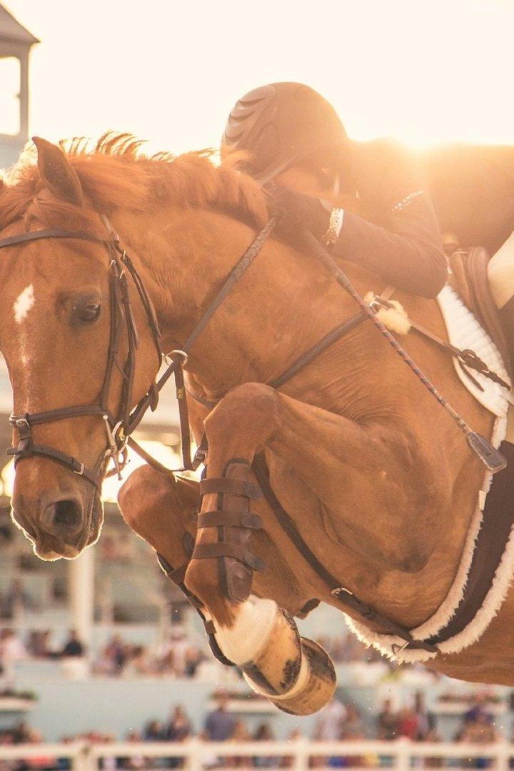 Конный спорт. Скачки. Трансляция из Грозного