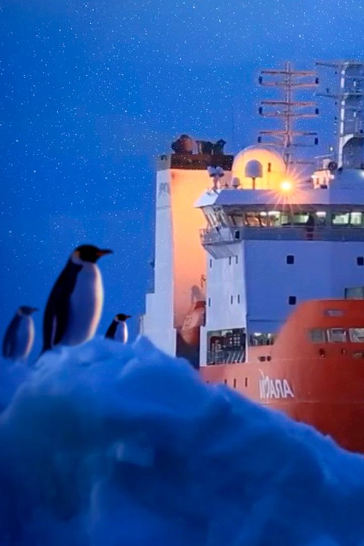 Семь лет в Антарктиде