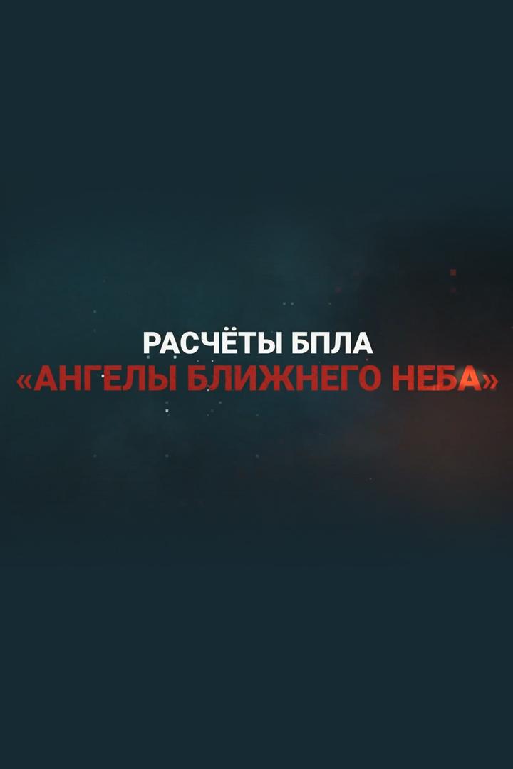 Расчёты БПЛА. Ангелы ближнего неба