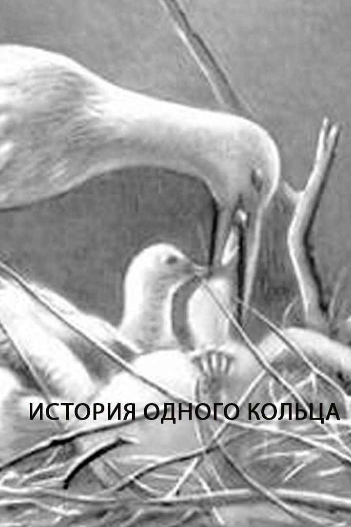 История одного кольца