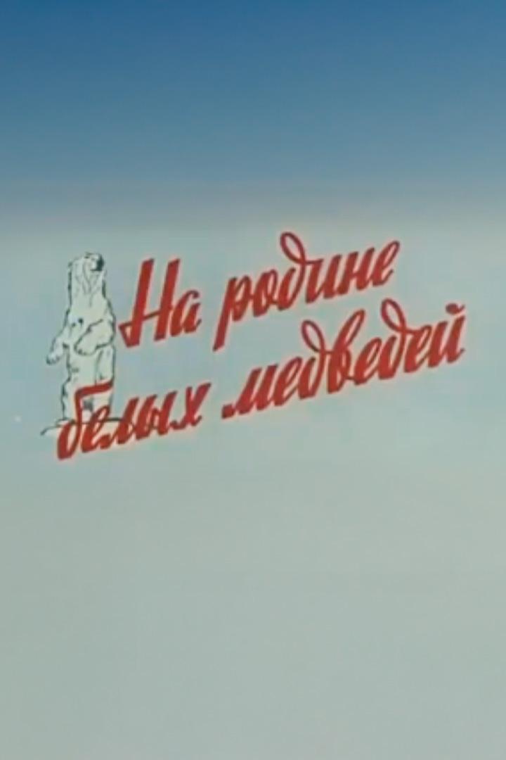 На родине белых медведей