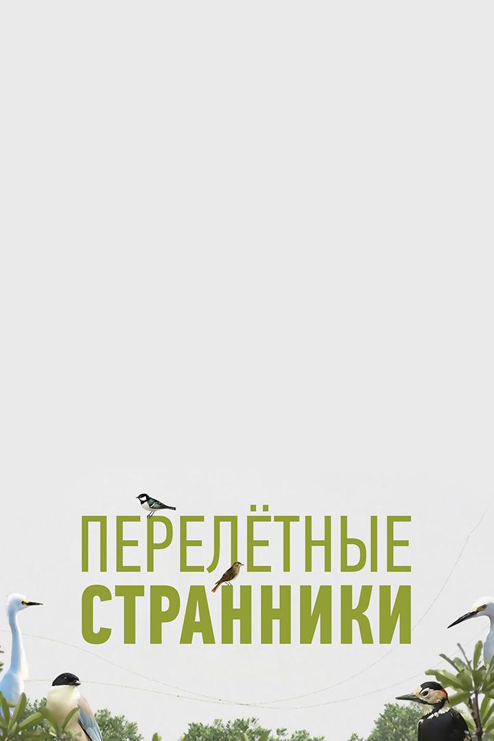 Перелётные странники
