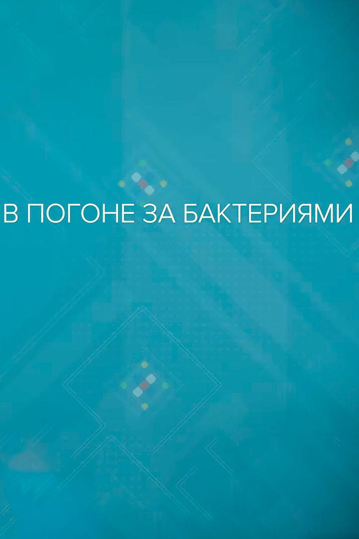 В погоне за бактериями