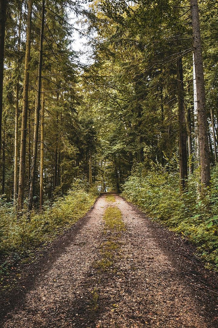 Устюртский заповедник, Западный Казахстан