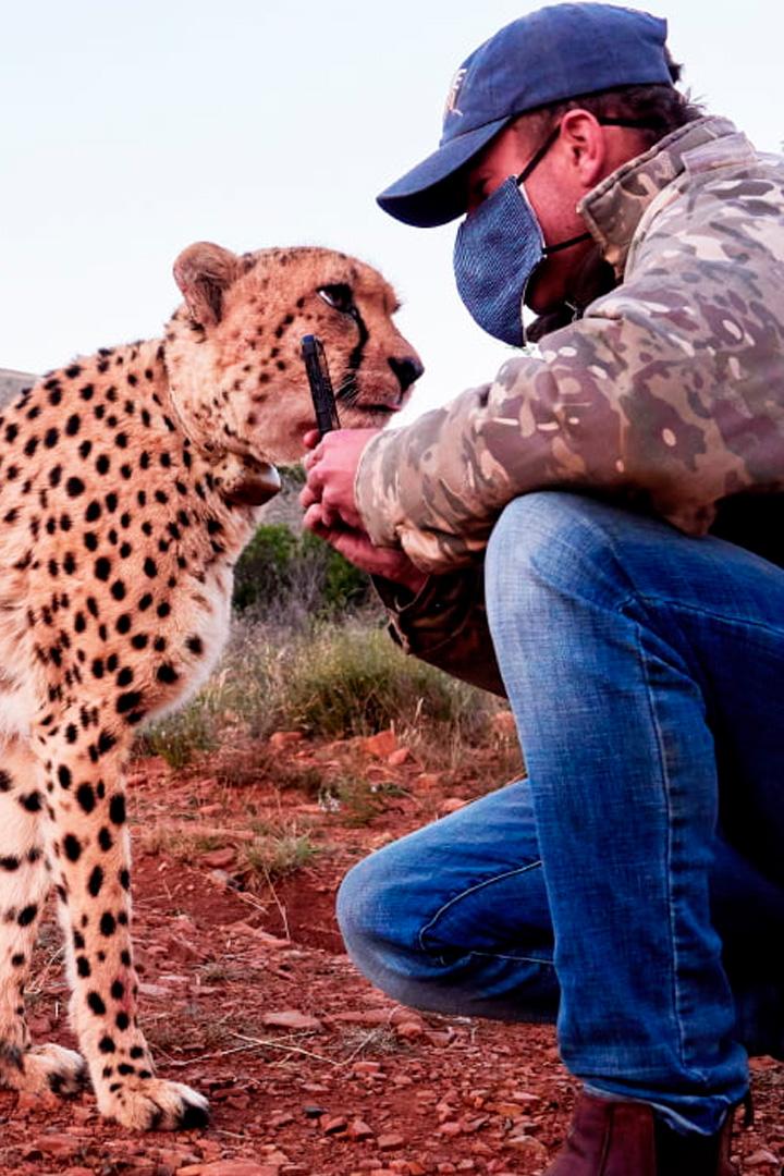 Во имя спасения дикой природы