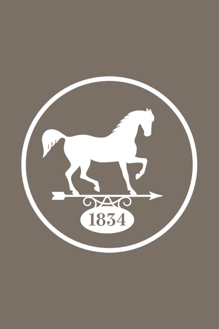 Скачки. "Кубок шахтеров". 2016 год. Трансляция из Москвы