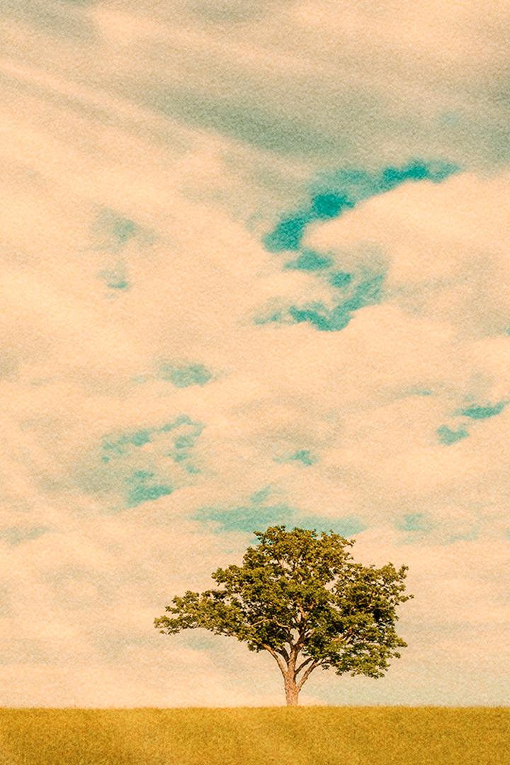 Эдем на Земле