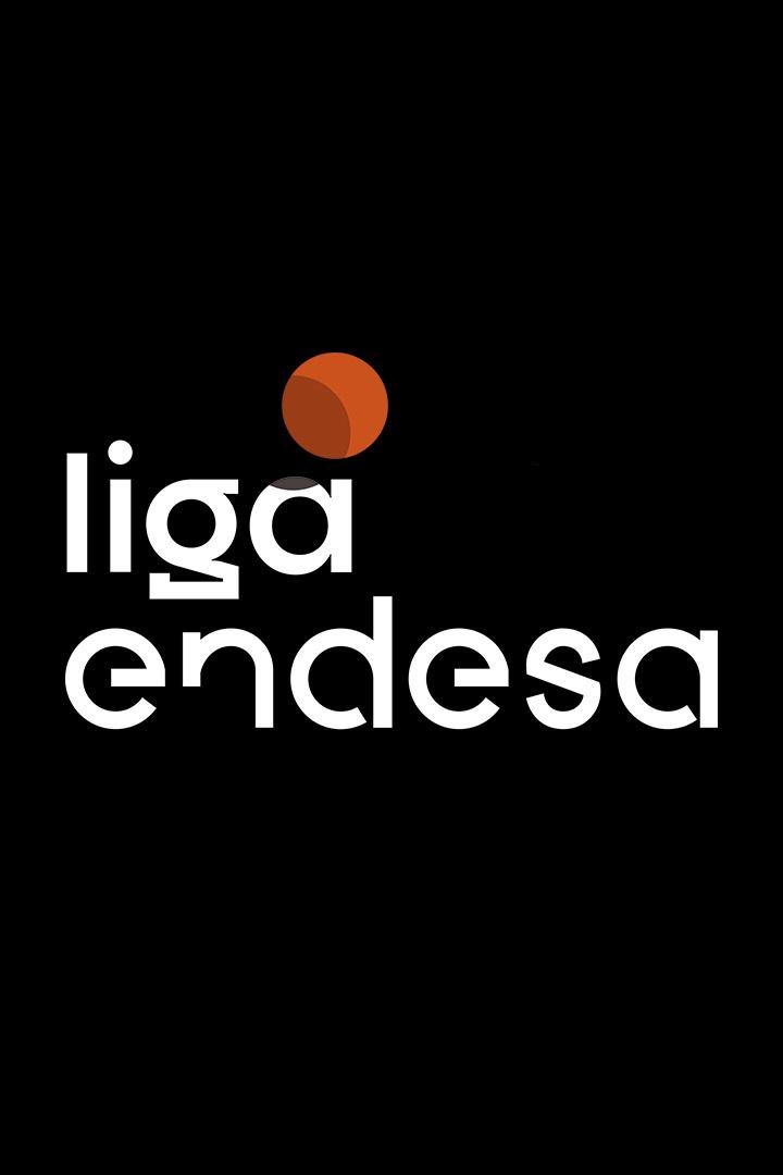 Баскетбол. Чемпионат Испании. Ллейда - Баскония