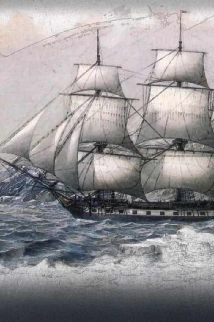 Беллинсгаузен Ф.Ф. Освоение Антарктиды