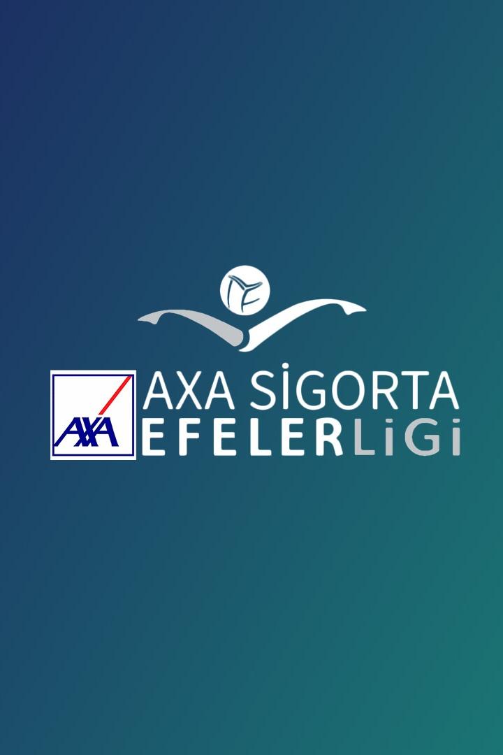 Волейбол. Чемпионат Турции. Мужчины. Галатасарай - Аккюш