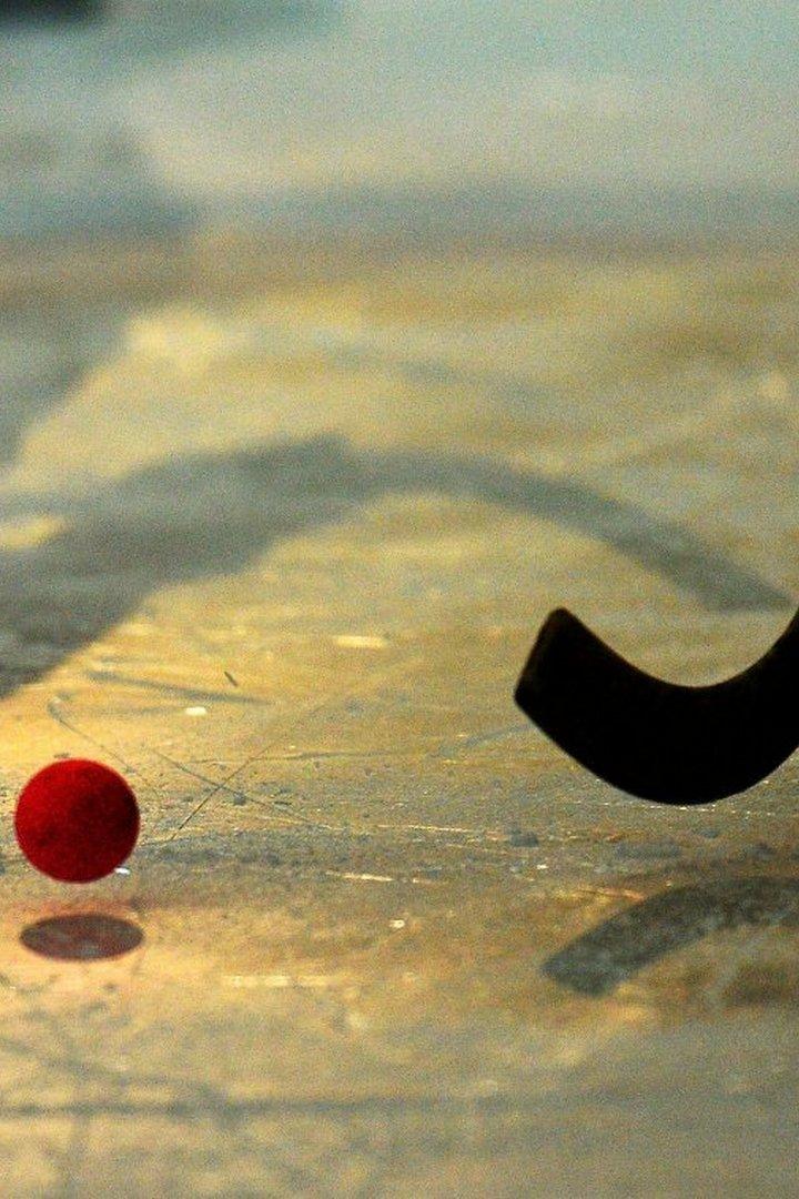 Хоккей с мячом. Суперлига. Водник - Ак Барс-Динамо