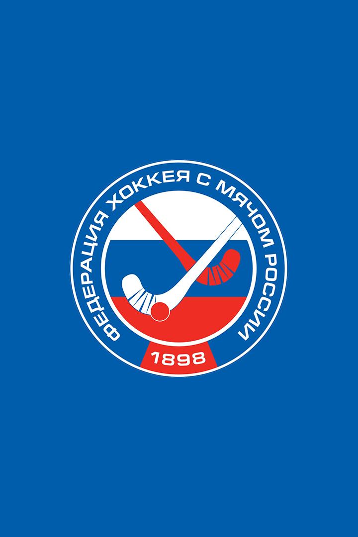 Хоккей с мячом. Суперлига. Волга - Динамо